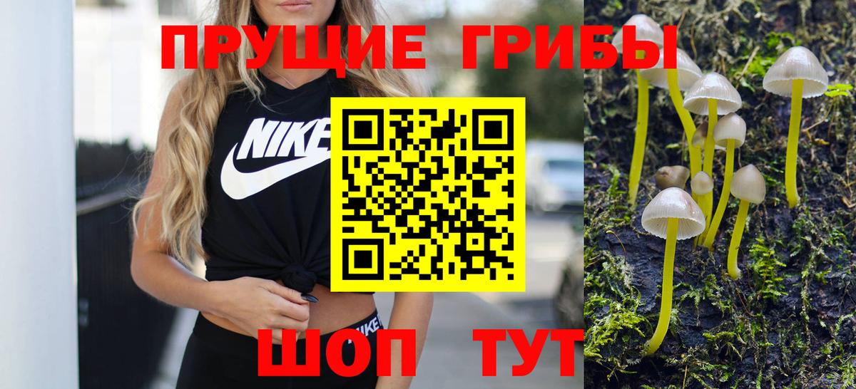Галлюциногенные грибы ЛСД Сергиев Посад