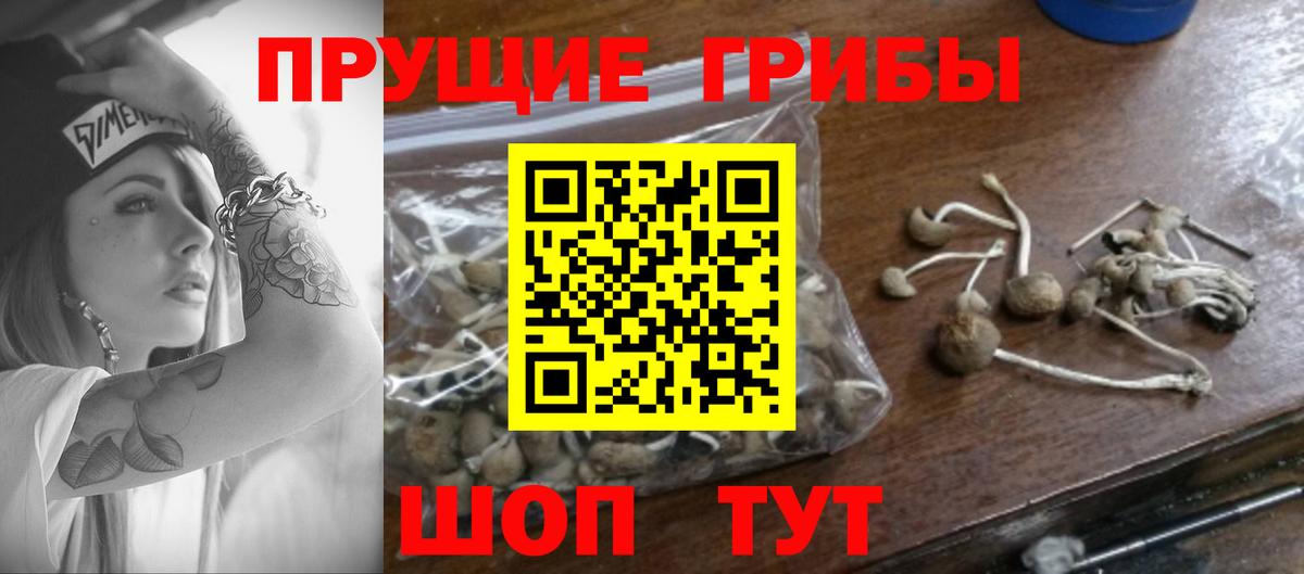 Галлюциногенные грибы Psilocybe  Вход с VPN  Сергиев Посад 