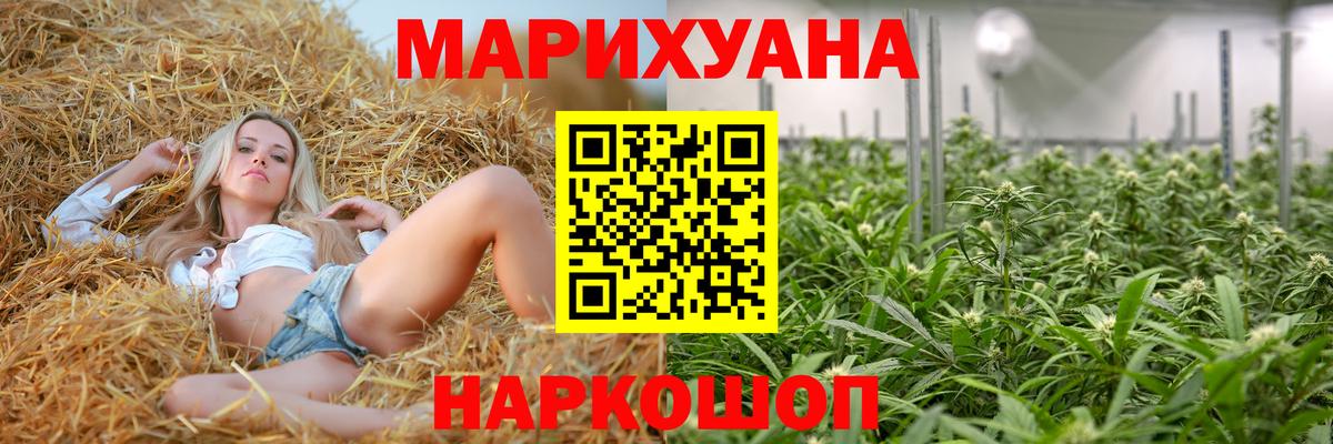 Шишки марихуана планчик  МАРИХУАНА планчик  Каннабис гибрид  Марихуана Ganja  Вход с VPN  Сергиев Посад 